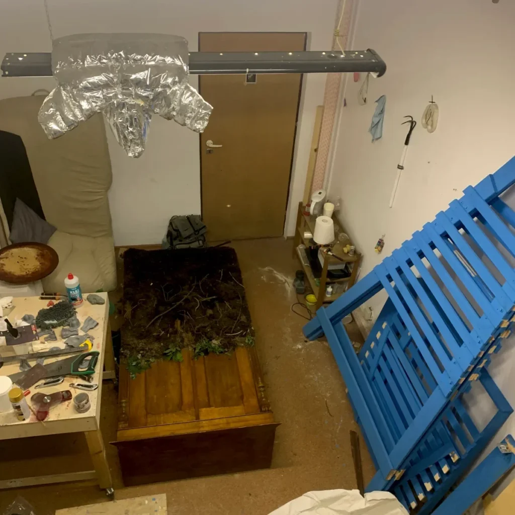 Alexander Adamau - Magazyn Sztuki