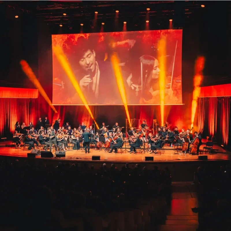 Michał Sołtan koncert